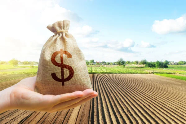 Beneficios de la planificación financiera.